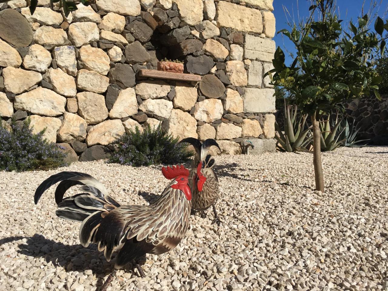 La Petite Maison Tresnuraghes Екстер'єр фото